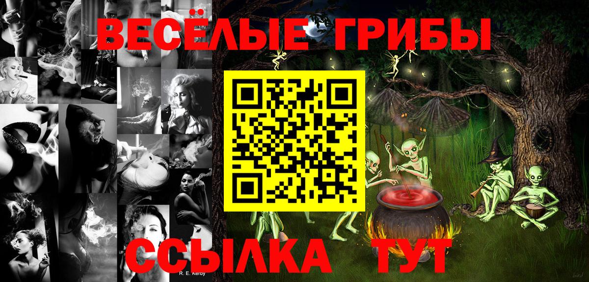 Псилоцибиновые грибы Magic Shrooms  Вход с VPN  Кизилюрт  Псилоцибиновые грибы GOLDEN TEACHER 