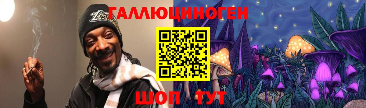 Псилоцибиновые грибы Psilocybine cubensis Кизилюрт
